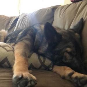 Meet your Posher, Chris